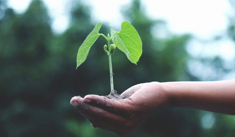 Değişiyor her şey…