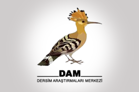 dam