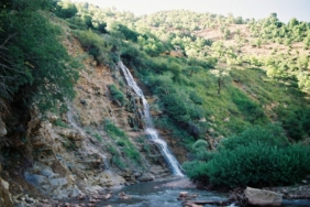 dereovasls