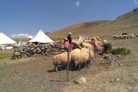 savaklar