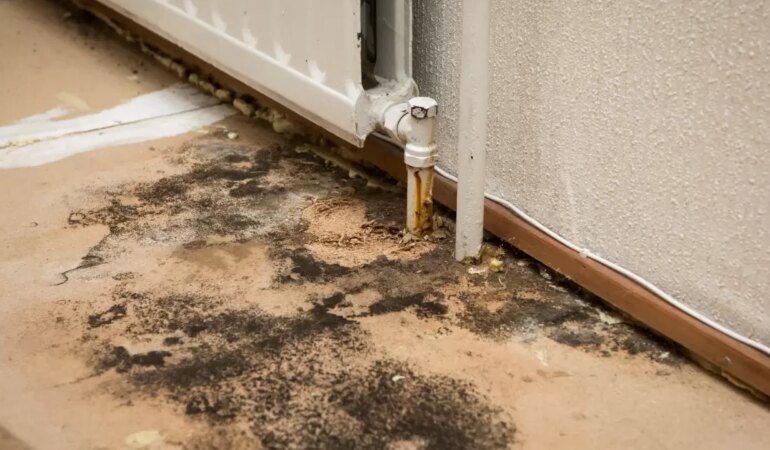 Evinizdeki nemi doğal yollarla azaltmanın pratik yöntemleri