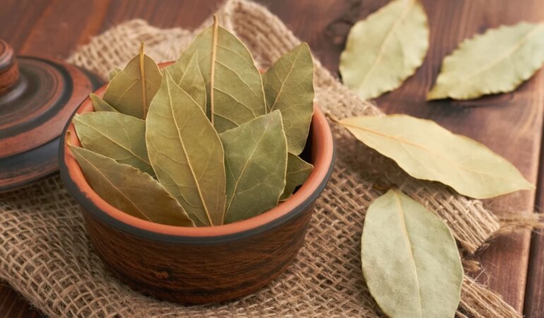 Defne Yaprağının Faydaları Nelerdir?