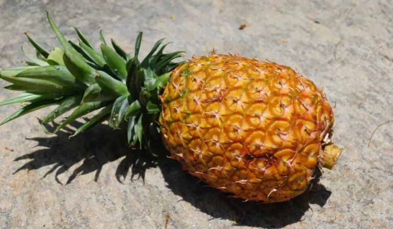 Ananasın Faydaları Nelerdir?