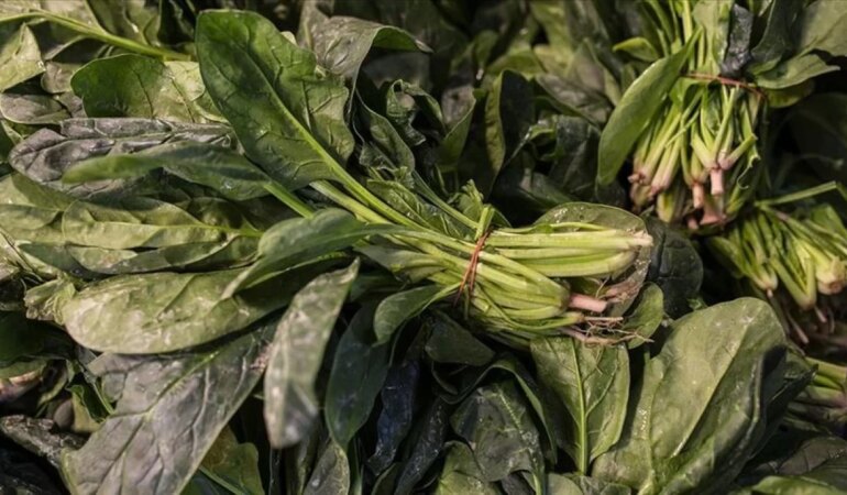 Kan dolaşımını güçlendiren pazının faydaları