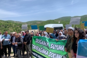 46b0cee5-59f2-494b-912c-2ecb75cd4493