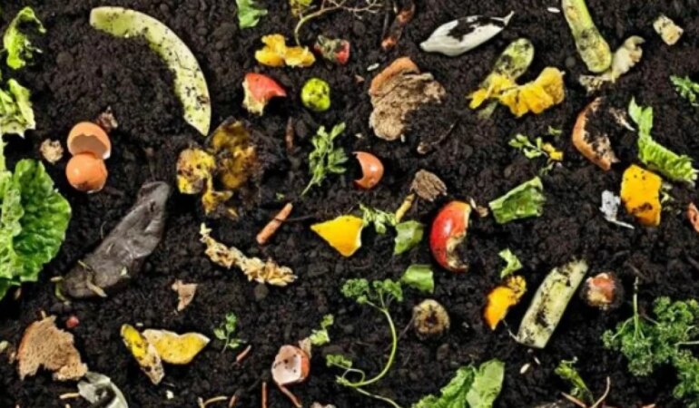 Çöp değil, doğal gübre!
