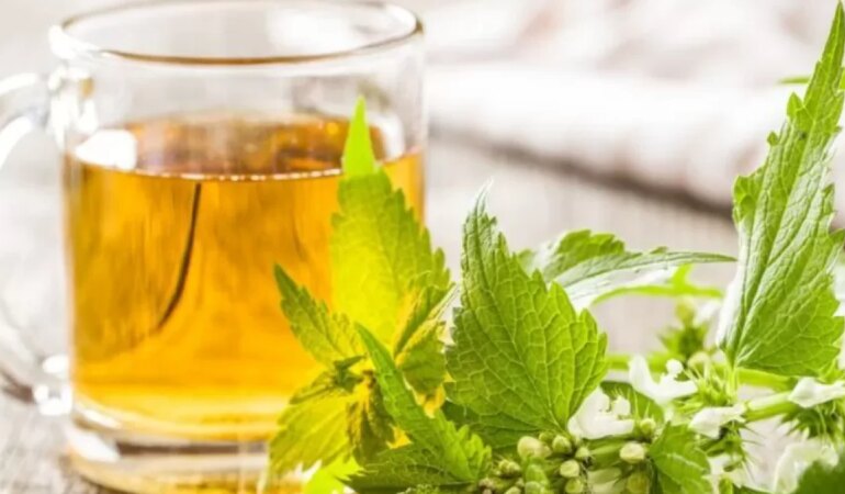 Isırgan otu çayı nedir, nasıl yapılır?