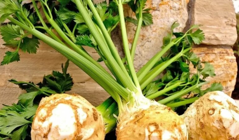 Kerevizin Besin Değerleri ve Faydaları Nelerdir?