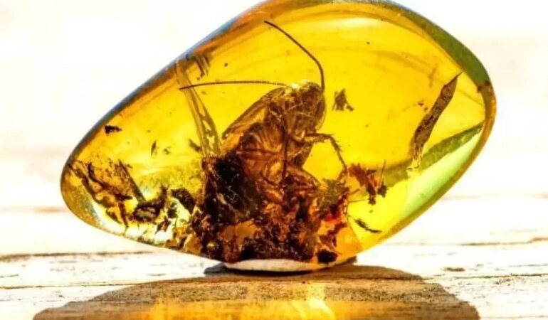 Kehribar Taşı Faydaları Nelerdir?