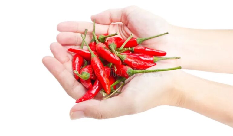 Ellerdeki Biber Acısı Nasıl Geçer?