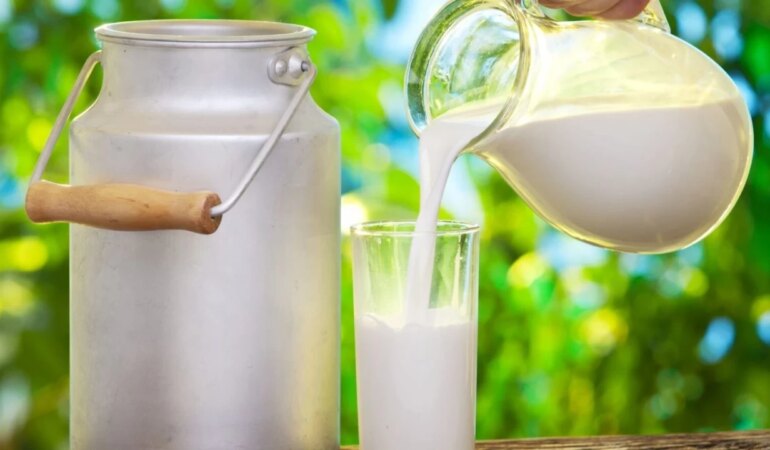 Bozuk süt içince ne olur?