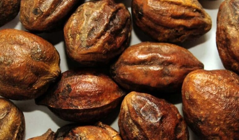 Sarı halile bitkisinin faydaları nedir?