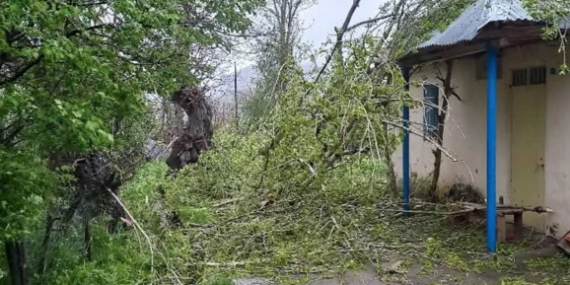 Dersim’de Şiddetli Fırtına: Çatılar Uçtu, Ekipler Sahada