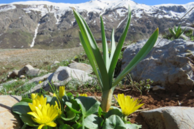 Ekran görüntüsü 2025-05-05 230318