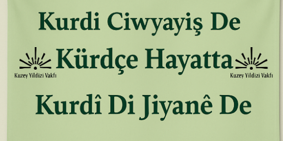 Kürdçe Hayatta Projesi: Menüden etikete, levhadan, anonsa Kürdçe her yerde
