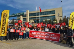 aym-sokaktaki-hayvanlarla-ilgili-duzenlemenin-iptalini-gorusecek.jpg
