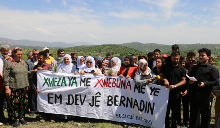 Diyarbakır Kulp’ta GES protestosu