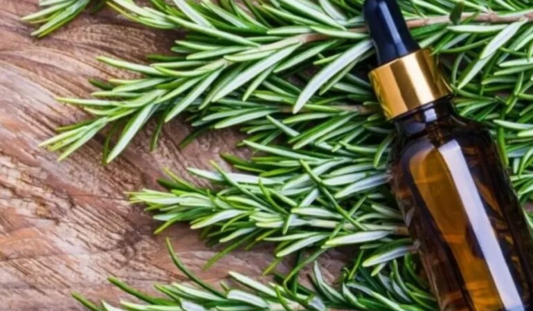 Biberiye suyu saçları uzatır mı?