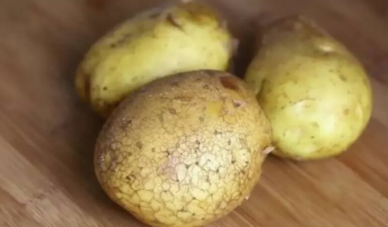 Mikrodalgada patates pişirmenin pratik yolları