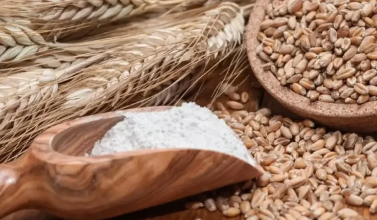 Buğday Unu mu, Çavdar Unu mu?