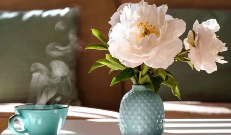 Slow living ne demek?