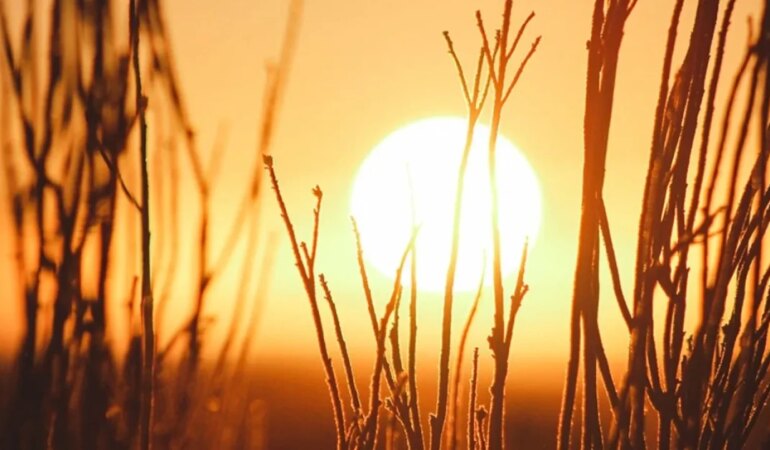 Sabah güneşi ne işe yarar?