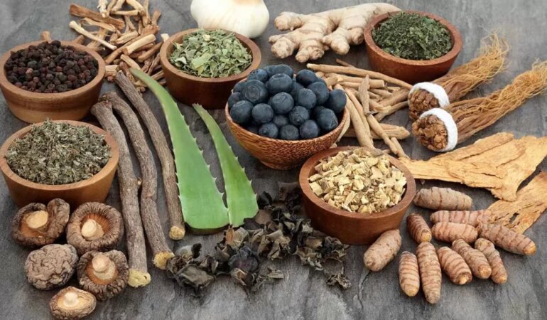 Adaptogen bitkiler nedir, ne işe yarar?