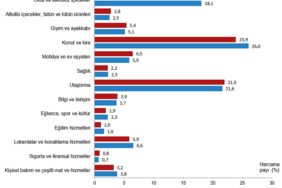 harcama-turlerine-gore-hanehalki-tuketim-harcamalarinin-dagilimi.png