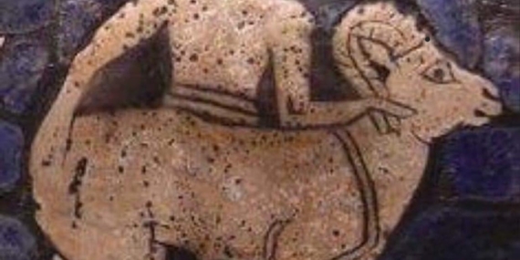 “Bir talipten dinledim ve dile geldim”