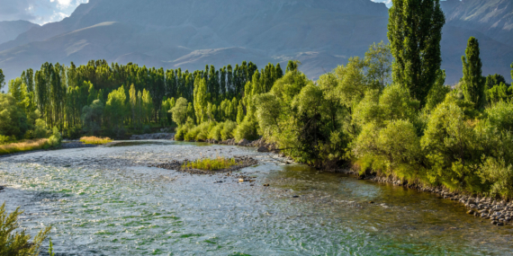 Mayıs’ta kanar yüreğim