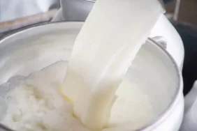 7411-evde-yogurt-yaparken-nelere-dikkat-edilmeli-iste-tas-gibi-yogurt-yapmanin-puf-noktalari.jpg