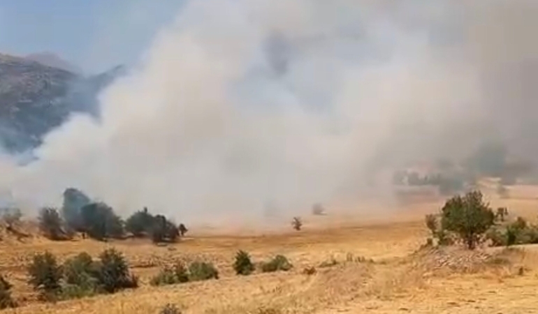 Dersim Aliboğazı’nda yangın: Söndürme çalışmaları sürüyor