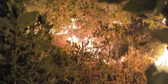 Licê’deki yangın helikopter eksikliğinden yayıldı