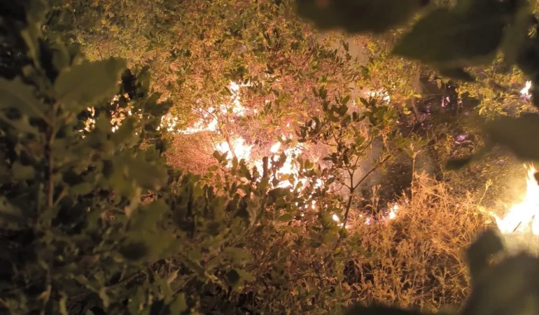 Licê’deki yangın helikopter eksikliğinden yayıldı