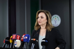 aysegul-dogan-sorumluluk-sadece-dem-partiye-birakilamaz.jpg