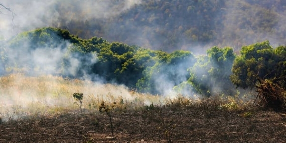 İklim Kanunu kabul edildi… Muhalefet: Asıl amaç doğa değil, ticaret