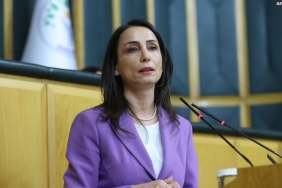 tulay-hatimogullarindan-orman-yanginlari-tepkisi-sbcg.jpg