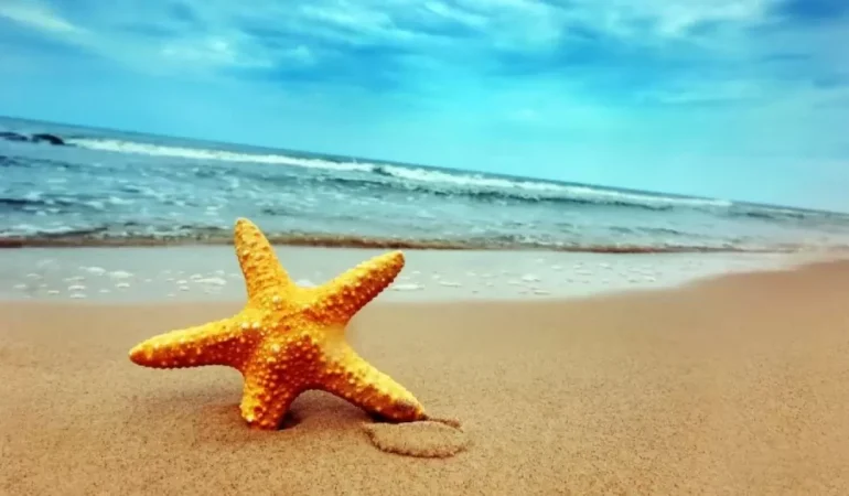 Rüyada Deniz Yıldızı Görmek Ne Anlama Gelir?