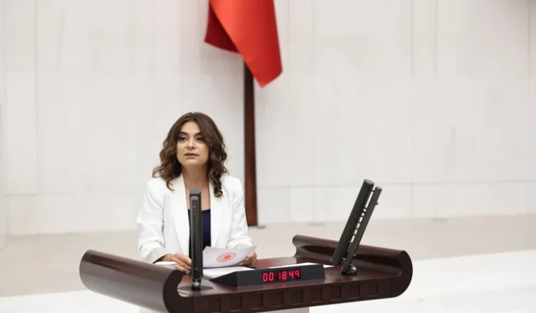 DEM Parti’den Filistin sorunu için 11 somut öneri