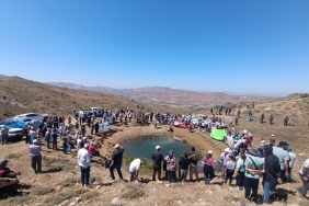 A216398F-1953-482F-8015-7391163D5216