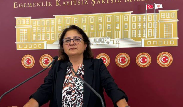 Munzur Üniversitesi’ndeki usulsüz atama iddiaları Meclis gündeminde