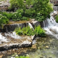 WhatsApp Image 2025-08-26 at 13.23.56