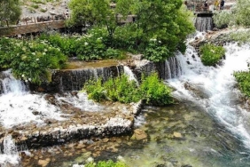 WhatsApp Image 2025-08-26 at 13.23.56