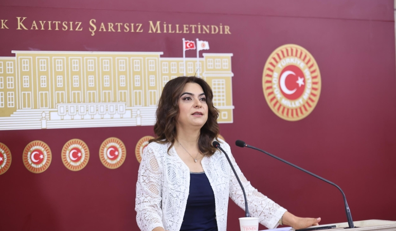 Koçyiğit: Komisyonda yol haritası üzerine tartışacağız