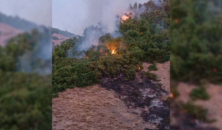 DEM Parti Milletvekili Kordu: Hozat’taki orman yangınına havadan müdahale şart