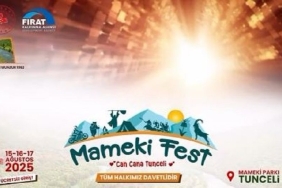 mameki-fest