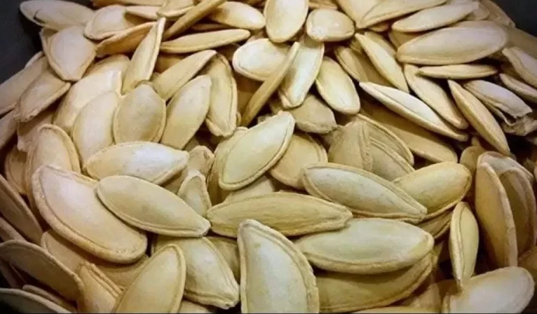 Kabak çekirdeği kaç kalori, diyette yenir mi?