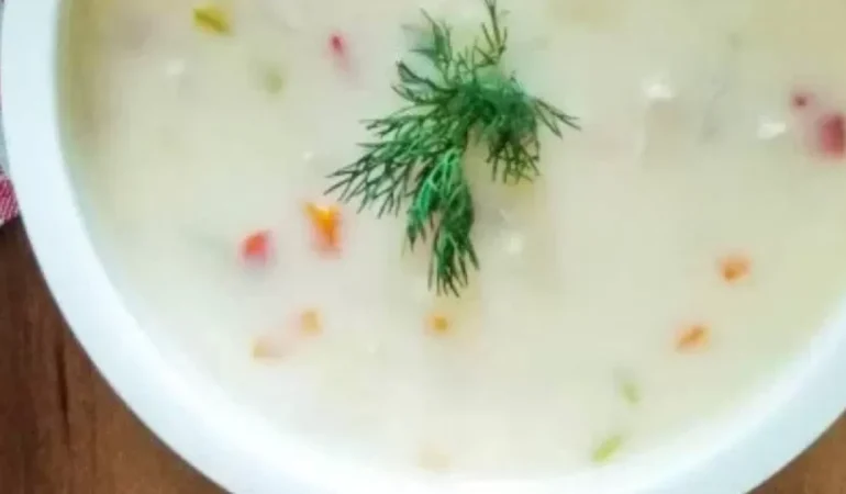 Tavuklu sebzeli bebek çorbası tarifi