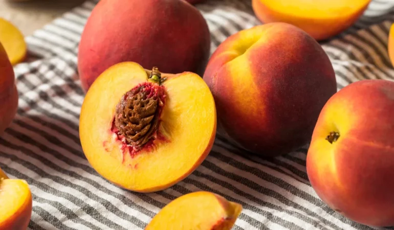 Kayısı Çekirdeği Nasıl Ekilir?