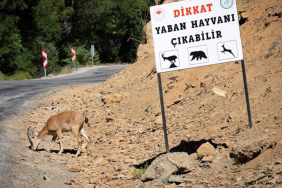 Ekran görüntüsü 2025-09-15 135556